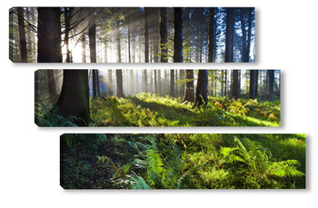 Модульная картина Водопады и леса 85307