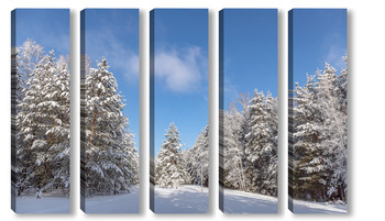 Модульная картина Утро в зимнем сосновом лесу