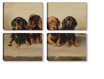 Модульная картина Четыре щенка таксы