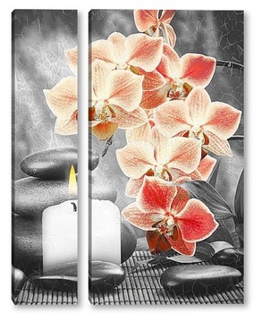 Модульная картина Оранжевые орхидеи