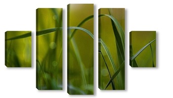 Модульная картина Этюд в траве.