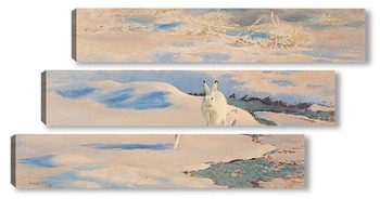  animals on isolated white background