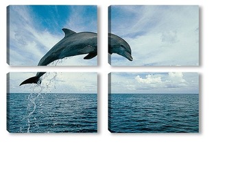 Модульная картина Dolphin090