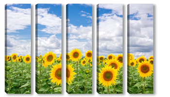 Модульная картина Sunflower field landscape
