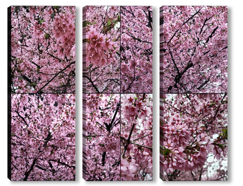 Модульная картина Ветки цветущей сакуры