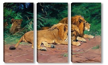 Модульная картина Львы на отдыхе