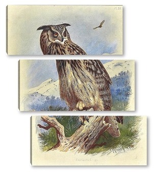  Owl in winter forest on stump. Pygmy small bird via snowfall. Small owl in natural habitat. Glaucidium passerinum