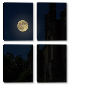 Модульная картина Ночной пейзаж с полной луной и силуэтом старинных развалин