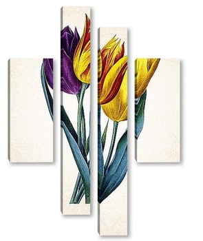 Модульная картина Тюльпаны Геснера