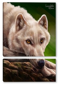 Модульная картина Белый волк