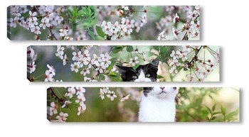  котенок в цветущем саду