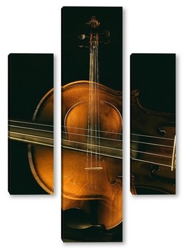  Скрипка