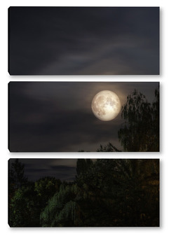  Ночной пейзаж с полной луной и силуэтом старинных развалин