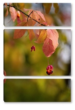 Модульная картина Осенний бересклет