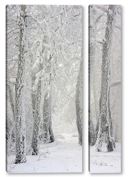 Модульная картина Дорога в зимнем лесу