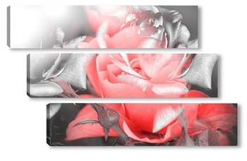 Модульная картина Красная Роза арт