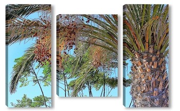 Модульная картина Финиковая пальма