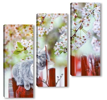 Модульная картина котенок в цветущем саду