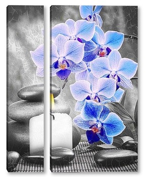 Модульная картина Голубые орхидеи