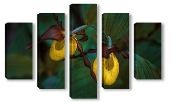 Модульная картина Северная орхидея