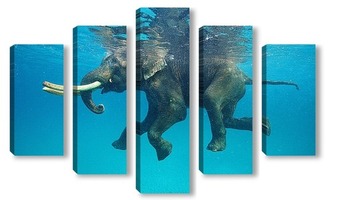 Модульная картина Плывущий слон