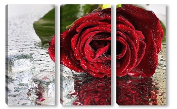 Модульная картина Роза со льдом