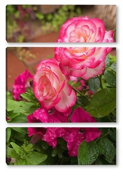 Модульная картина Розовые розы с петуниями