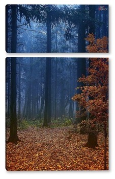 Модульная картина Туманный лес.