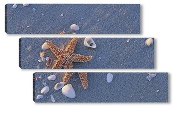 Модульная картина Starfish004