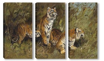 Модульная картина Тигр в высокой траве