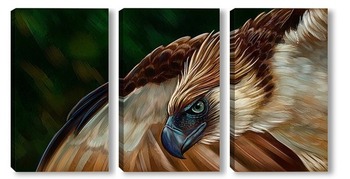Модульная картина Филиппинский орел
