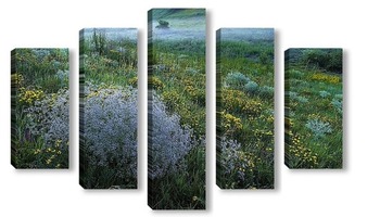 Модульная картина Утро.Туман над травами