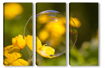 Модульная картина Мыльный пузырь на жёлтом цветке