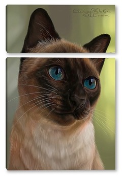 Модульная картина Кошка с голубыми глазами 