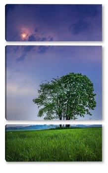 Модульная картина Несколько деревьев одиноко стоящих в поле на фоне пасмурного неба и солнца пробивающегося сквозь тучи