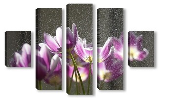 Модульная картина тюльпаны под дождем