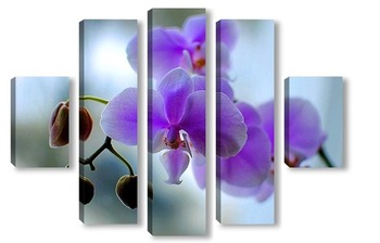 Модульная картина Орхидея  фиолетова