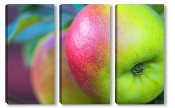 Модульная картина Яблоки в саду