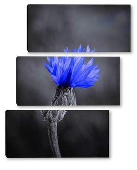 Модульная картина Синий цветочек