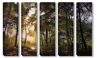 Модульная картина Рассвет в лесу