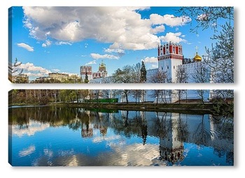  Утки Новодевичьего пруда