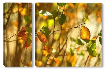  Желтые листья
