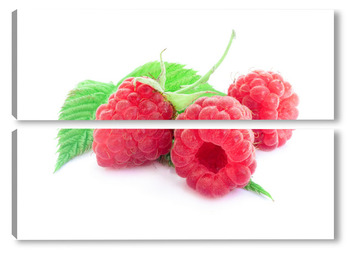  Cherry on a white background