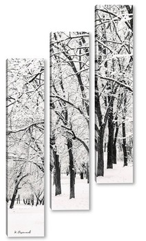  Деревья рябины на фоне первого снега.