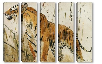  Тигры 46213