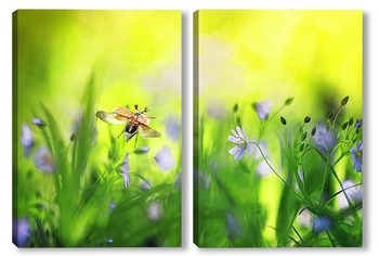  красивая темная бабочка  сидит на лугу в окружении зеленой травы и солнечного света