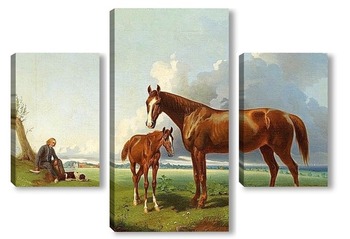 Модульная картина Лошадь с жеребенком