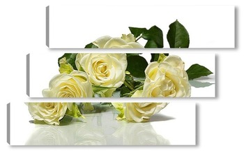 Модульная картина Белые розы