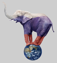    Слон на глобусе