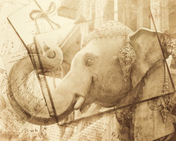    Индийский слон